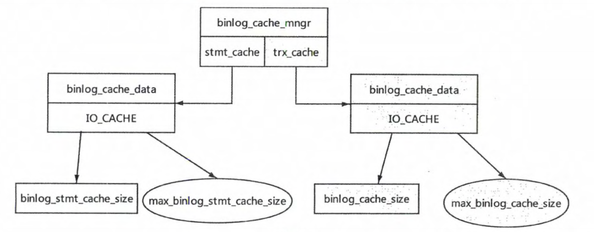 image (5)
