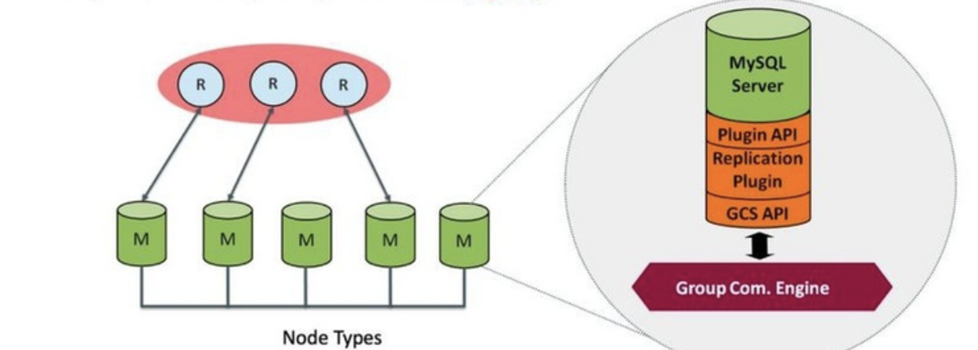image (4)